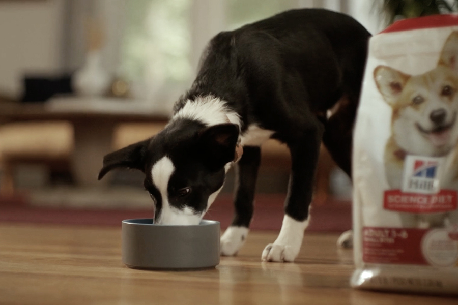 Video: Ryder and Hill’s Pet Nutrition Video: Ryder and Hill’s Pet Nutrition