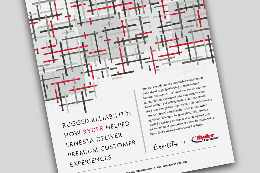 cover of the Ernesta case study
