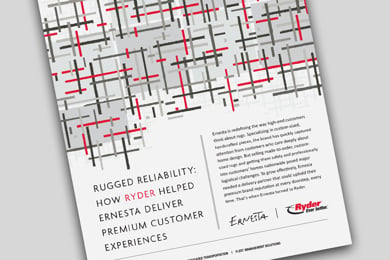cover of the Ernesta case study